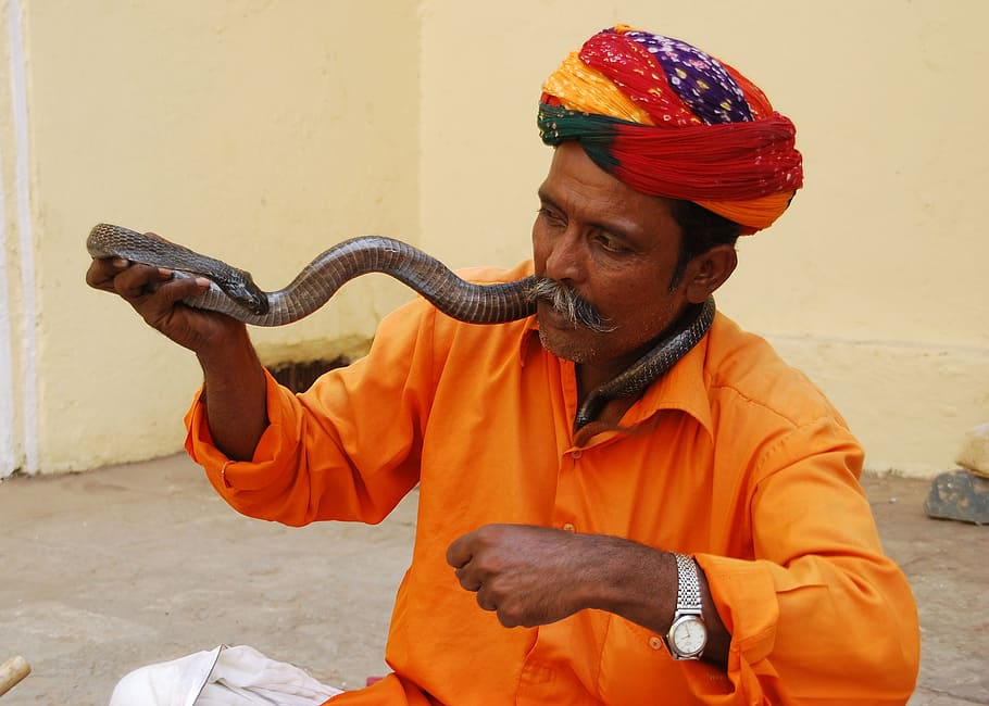 snake charmer jaipur, amer fort jaipur tour, travels, turban, one person, holding, real people, clothing, adult, traditional clothing