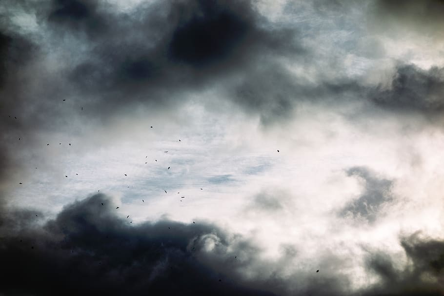 naturaleza, oscuro, cielo, nubes, blanco, negro, cenizas, partículas, nube - cielo, pájaro