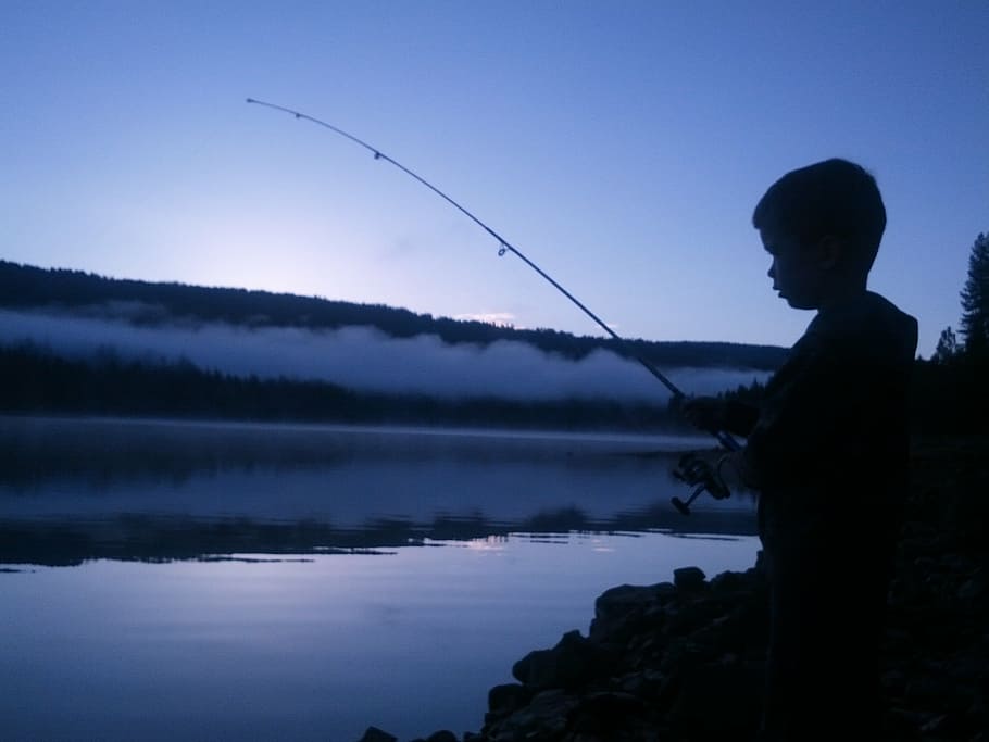 boy fishing, body, water, jp, fishing, california, sunrise, child, boy, bass lake