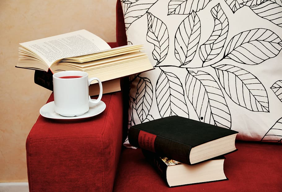white, ceramic, mug, saucer, red, fabric sofa, two, black, books, read