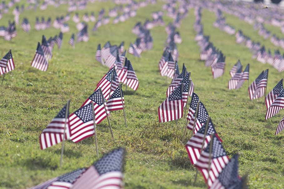 banderas de EE. UU., campo de hierba, durante el día, banderas, estadounidense, patriotismo, nacional, estados, estrellas, rayas