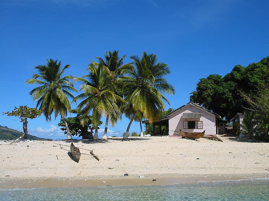 white, house, beachshore, daytime, Island, Paradi, Tropic, Tropical, coconut, madagascar