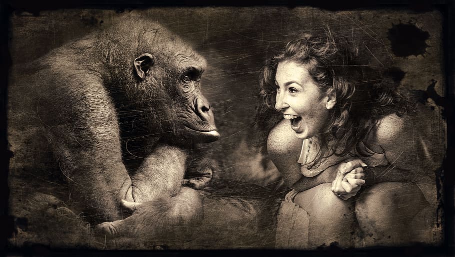 mulher, sem mangas, topo, pintura de macaco, compondo, macaco, rir, foto antiga, sépia, marrom