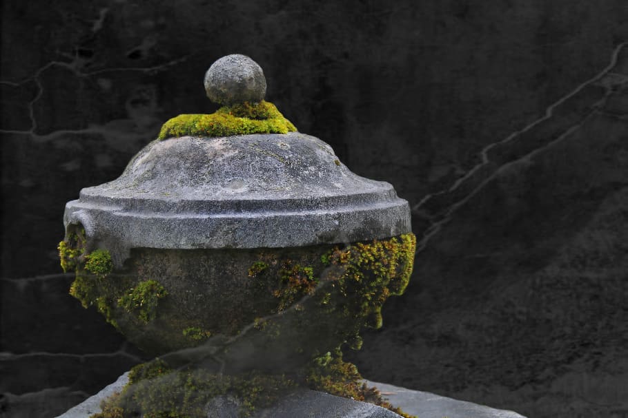 closeup, photography, moss, concrete, finial, closeup photography, stone urn, grave, tomb, cemetery