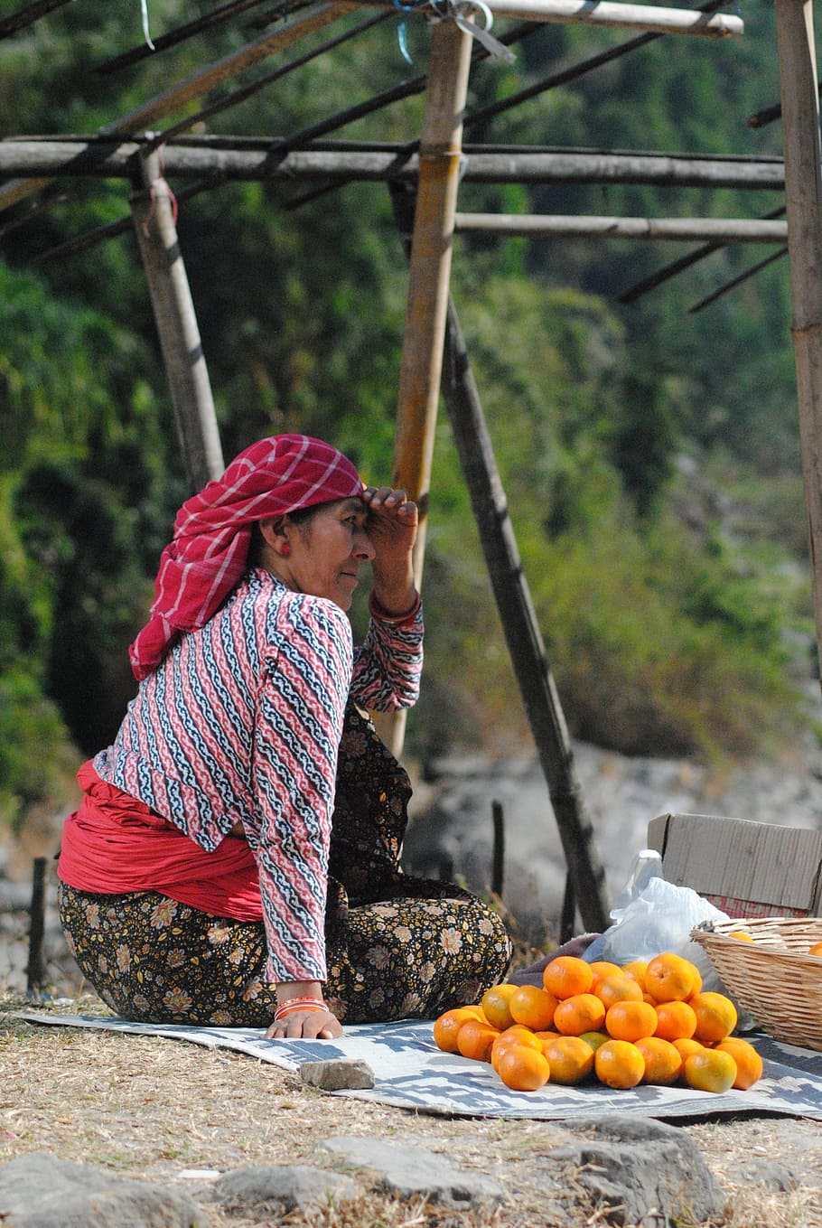 Orange, Seller, Vendor, Roadside, lady, woman, india, one person, outdoors, people
