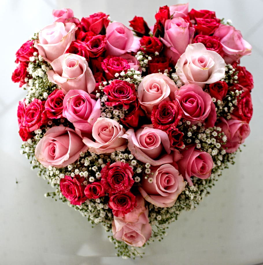 heart-shaped, pink, red, roses flower arrangement, roses, flower, red rose, rose bloom, rose blooms, blossom