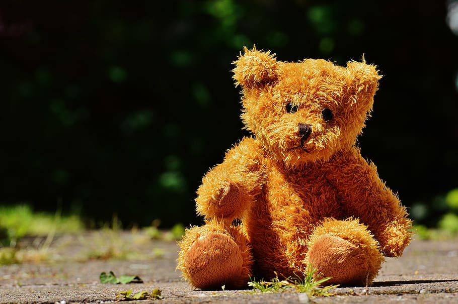 bear, teddy, soft toy, stuffed animal, teddy bear, brown bear, children, animal, furry teddy bear, children toys
