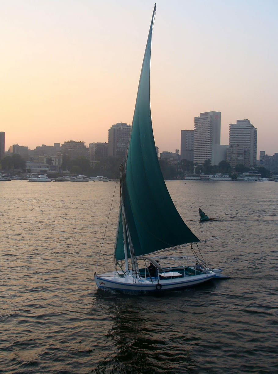 boat, Nile, Cairo, Egypt, buildings, photos, public domain, river, sailboat, ship