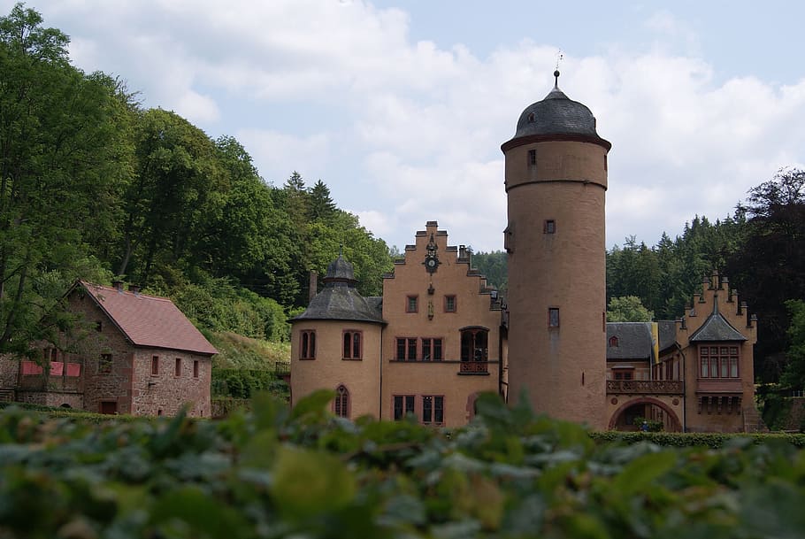 wasserschloss mespelbrunn, Mespelbrunn, Moated Castle, castle, towers, tower, places of interest, elsava valley, spessart, tree