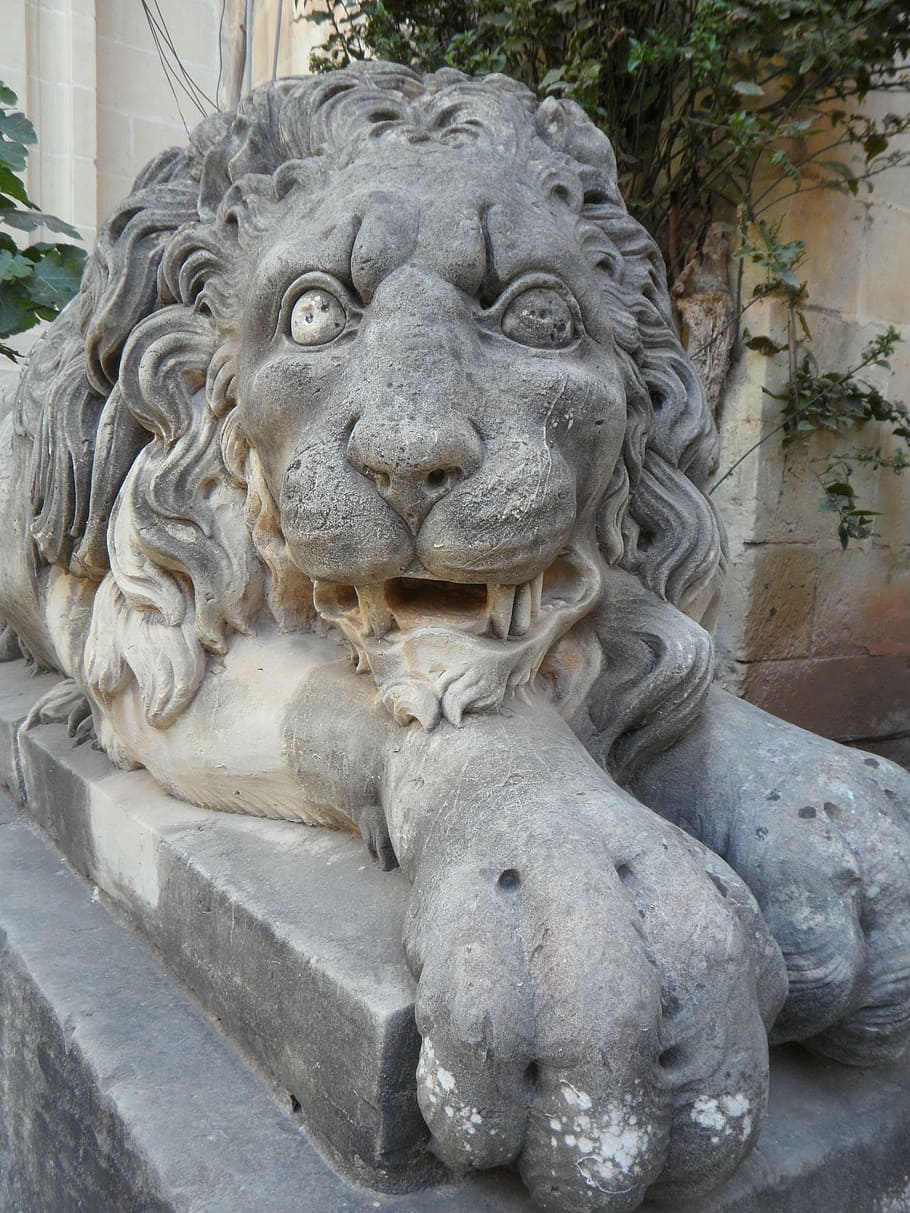 lion, stone, stone lion, statue, imposing, strong, guards, protector, guard, protect