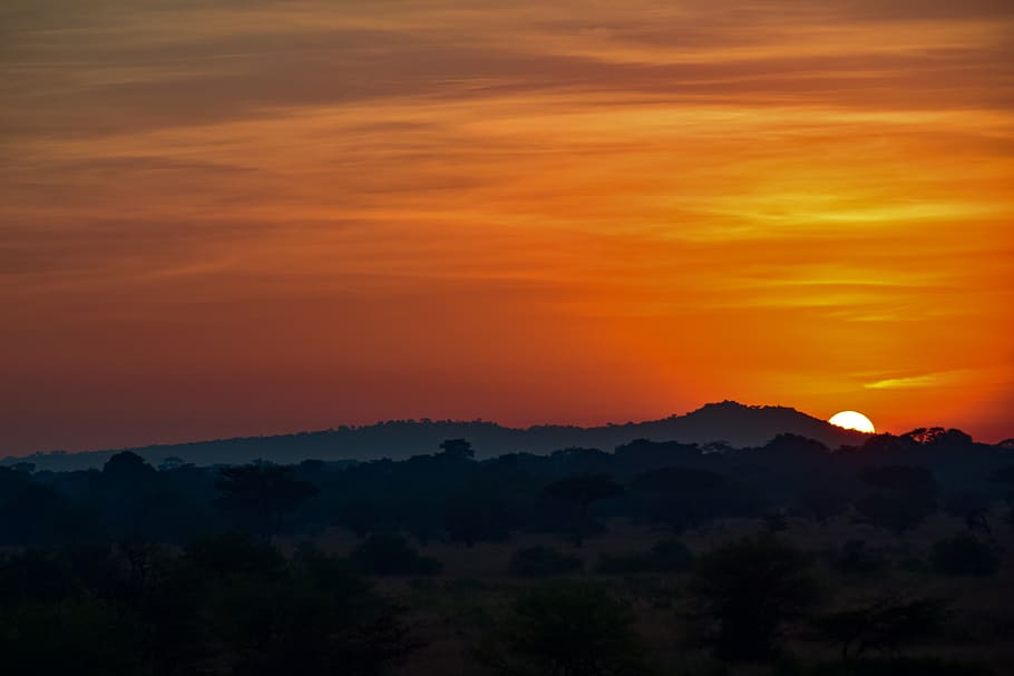 sunrise, africa, serengeti, tanzania, sky, sun, sunset, scenics - nature, beauty in nature, tranquility