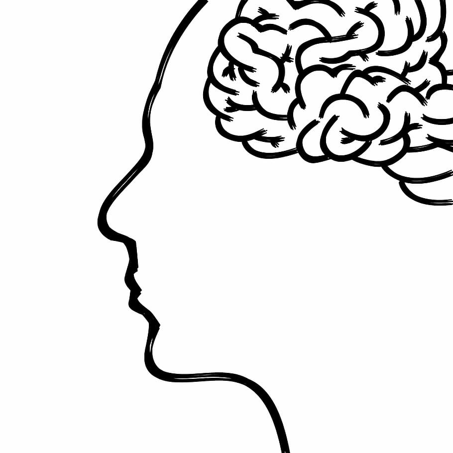 人間の顔のスケッチ, 頭, 脳, 思考, 人体, 顔, 心理学, 集中力, アイデア, 灰白質