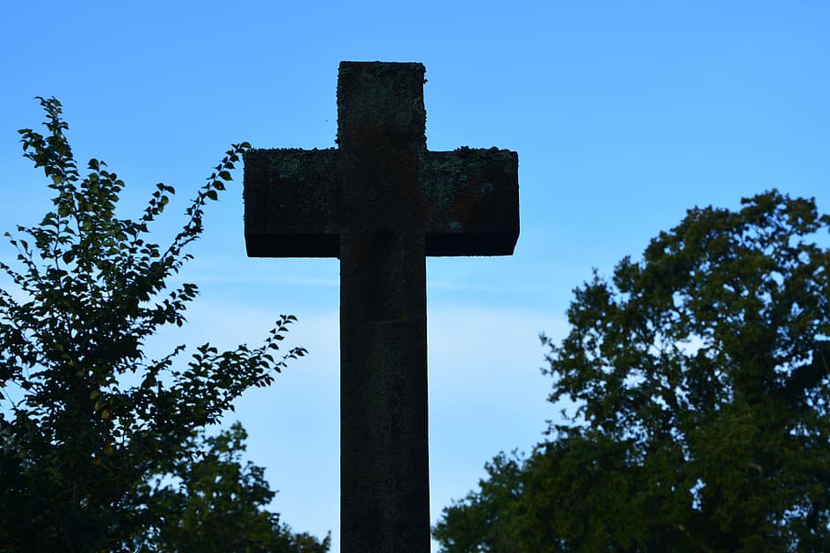 against day, photo against the light, cross, cross stone, nature, belief, religion, tree, plant, sky