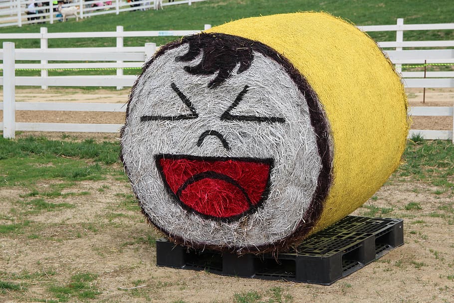laughter, buffoonery, cuteness, park, sculpture, straw, nature, hay, hay bales, geometric shape