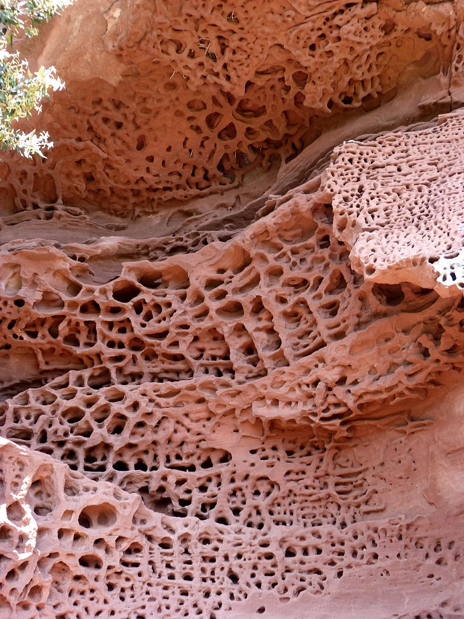 batu, erosi, merah, tidak ada orang, pola, bingkai penuh, coklat, bertekstur, close-up, latar belakang