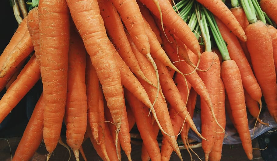 shallow, focus photography, carrot lot, carrots, vegetable, food, fresh, fresh vegetables, organic, orange