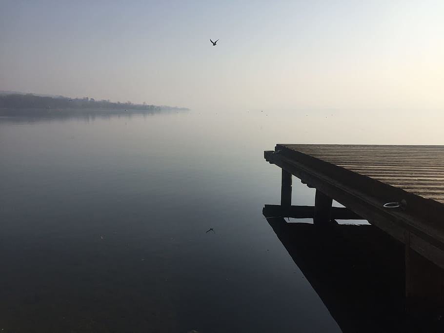 Lake, Varese, Seagull, Reflection, lake, varese, landscape, winter, flying, mid-air, water