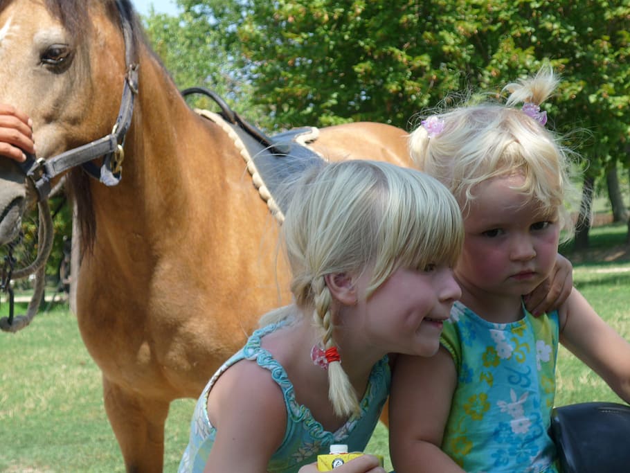 brothers and sisters, horse, children, friends, blond, braids, dimple, hug, green, animal