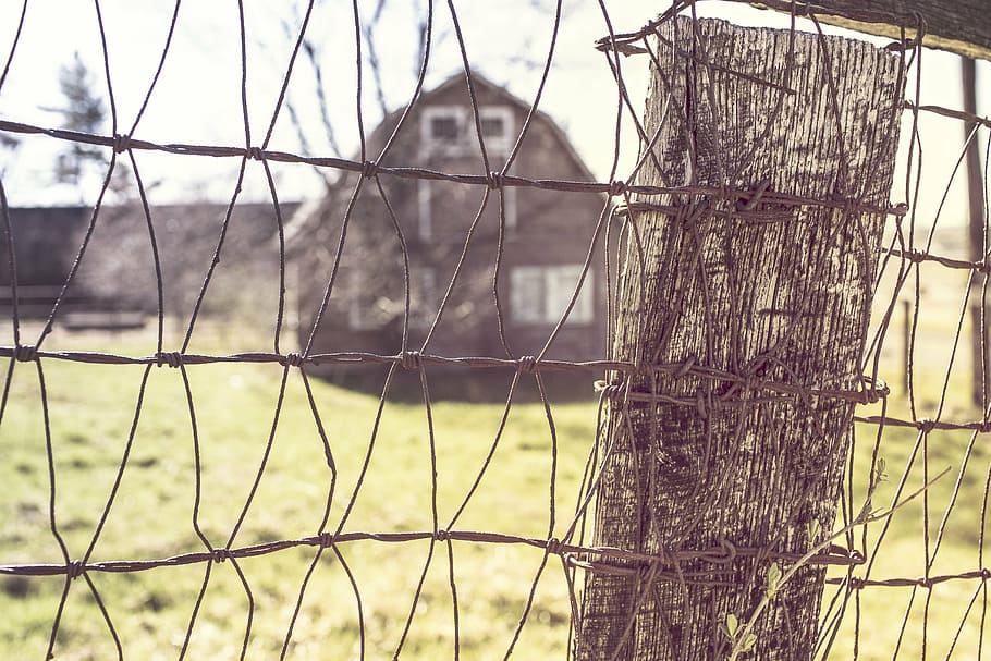 shallow, focus photography, gray, fence, tilt, lens, photography, wire, wood, post