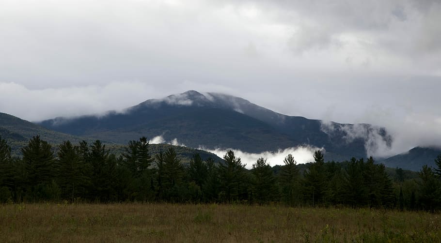 montaña de niebla, a través, bosque, negro, nubes, gris, verde, montañas, árboles, blanco