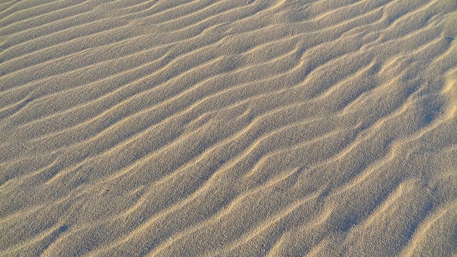 sand, desert, dry, beach, fuerteventura, canary islands, nature, sand Dune, no People, backgrounds
