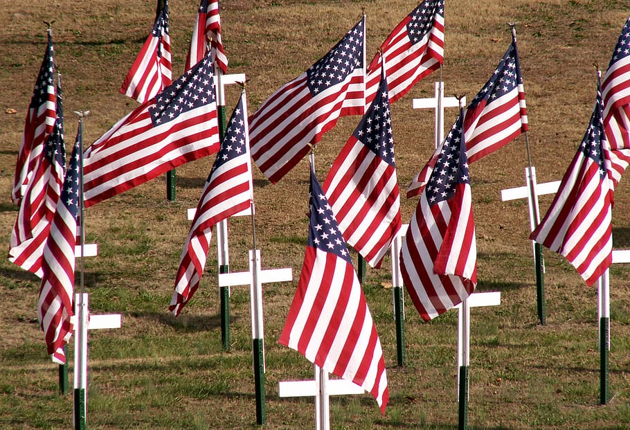 banderas de EE. UU., cementerio, día, americano, bandera, bandera estadounidense, patriotismo, día de los veteranos, tumbas, rayado