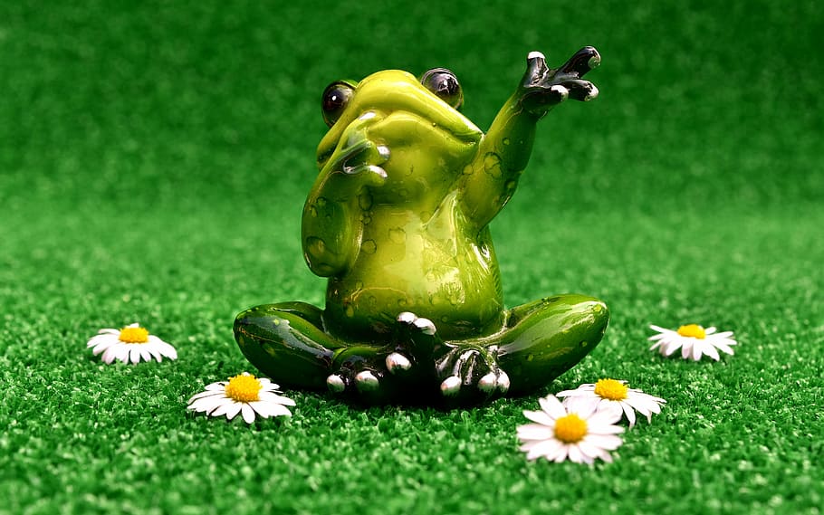 frog, wave, farewell, meadow, funny, cute, figure, sweet, plant, grass