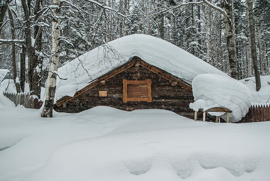casa cubierta de nieve, siberia, nieve, chalet, taiga, invierno,  temperatura fría, arquitectura, estructura construida, exterior del  edificio | Pxfuel