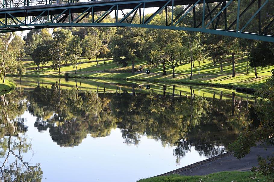 rio, torrens, recreação, parque, relaxar, jardins, verde, natureza, planta, austrália