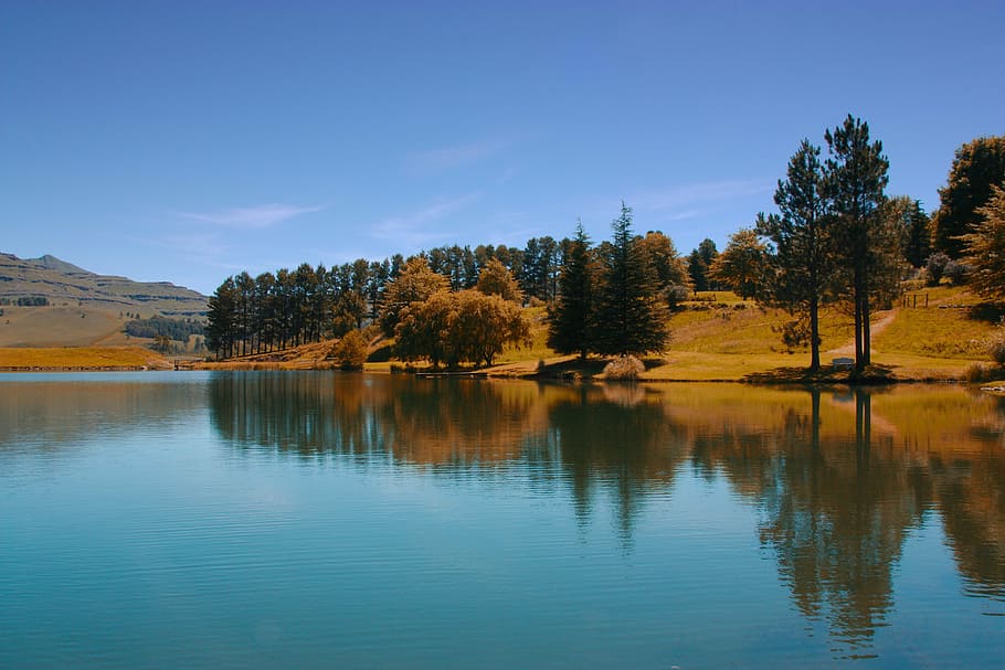 castleburn, lake, drakensberg mountains, pine, tree, water, blue, view, scenic, reflection