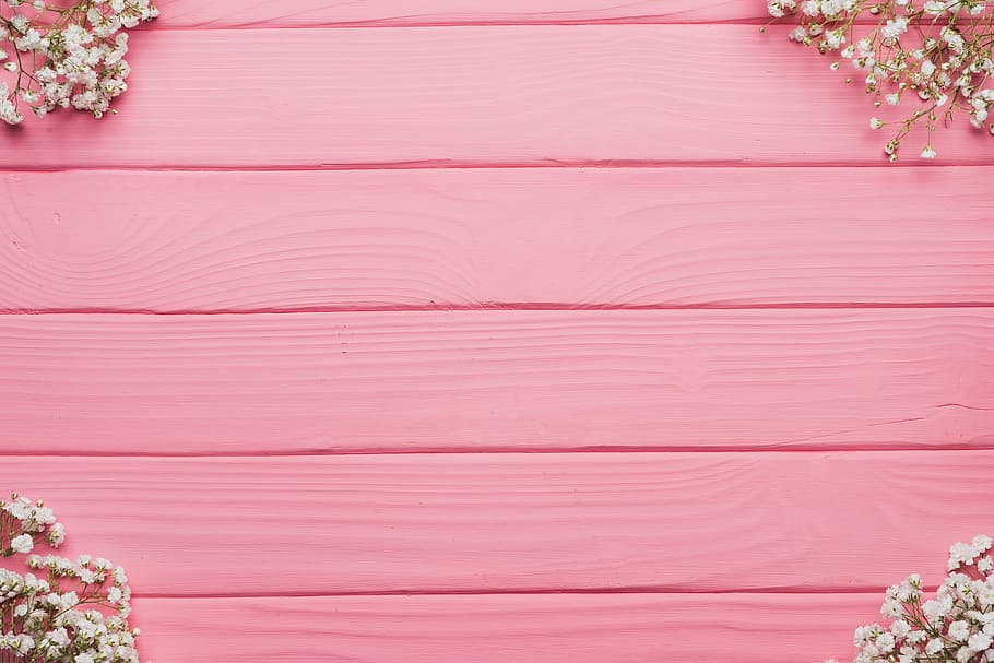 white, flowers, pink, wooden, pallet, background, nature, pink color, copy space, backgrounds