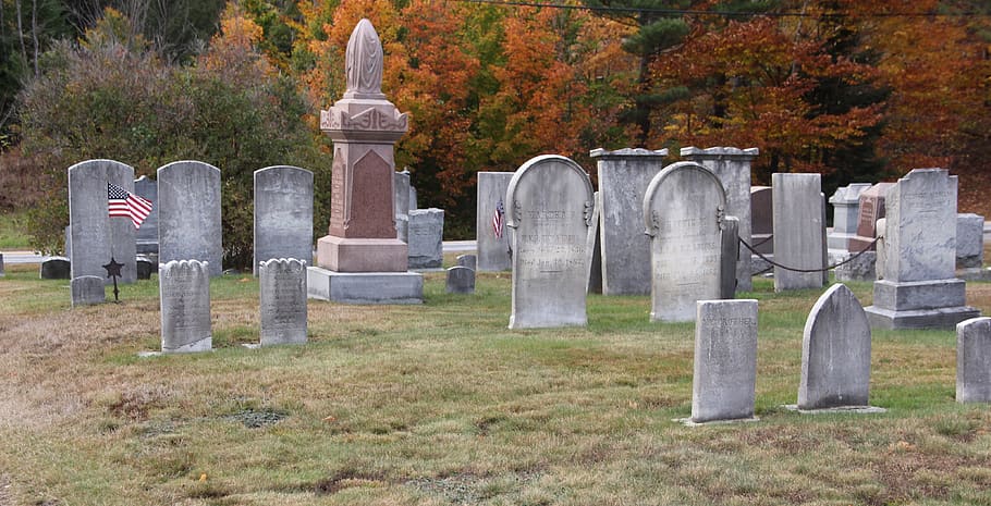 graveyard, cemetery, flag, grave, tombstone, headstone, stone, memorial, plant, tree