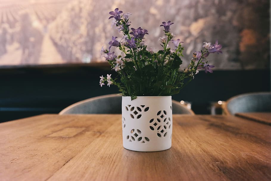 flower, vase, wooden, table, display, flowering plant, plant, nature, freshness, fragility
