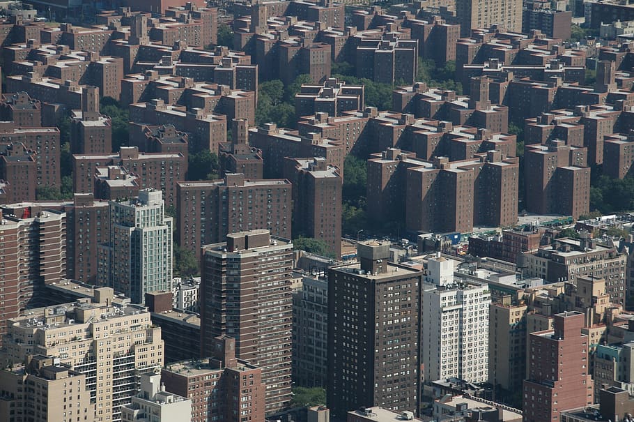 aerial, photography, city buildings, urban, bronx, new york, city, skyline, new, york