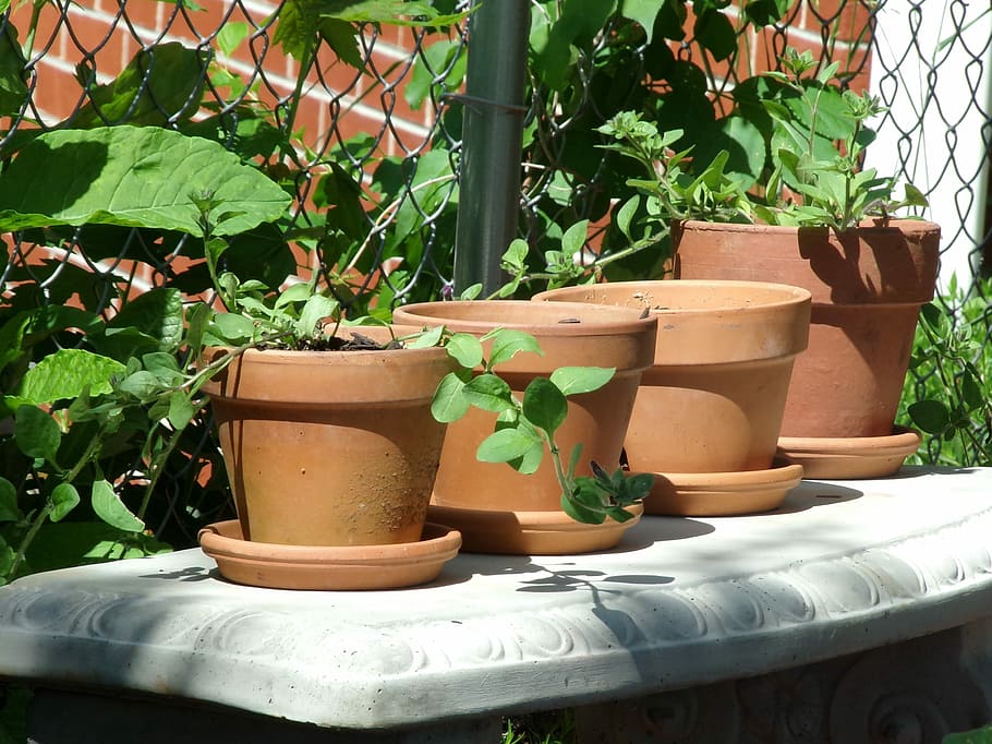Clay, Pots, Pottery, Ceramic, Craft, earthenware, culture, traditional, plant, vase