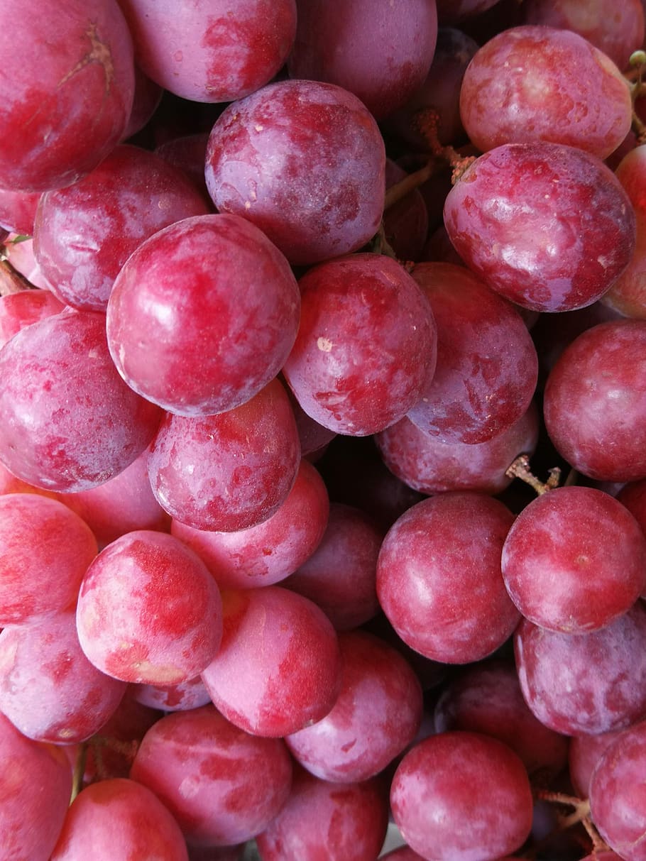 grapes, harvest, viticulture, wine, vineyard, fruit, power, health, vine, autumn