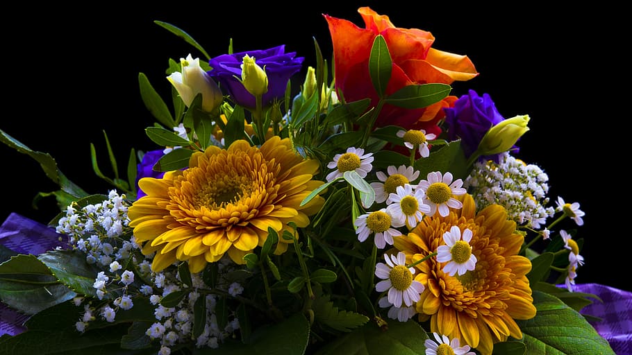 yellow, gerbera flowers, white, asters flowers, red, purple, roses flowers, Gerbera, flowers, asters