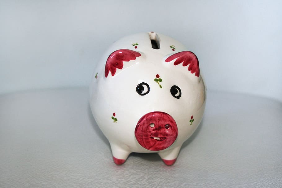 piggy bank, money, save, coins, euro, cent, seem, savings bank, pig, piglet