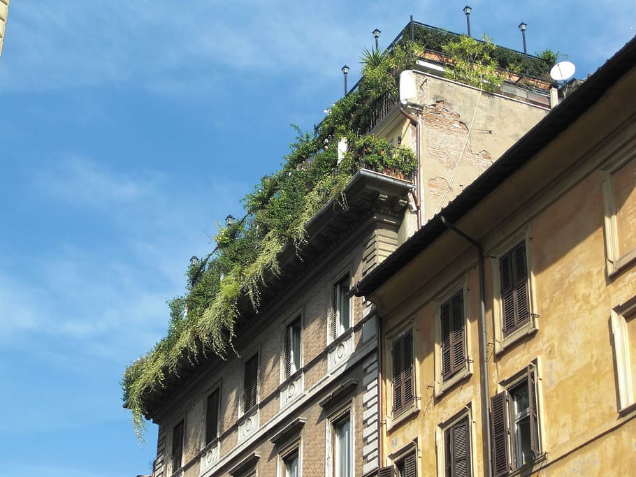 Jardim no telhado, Roma, Itália, Edifício, fachada, arquitetura, exterior do edifício, janela, estrutura construída, céu