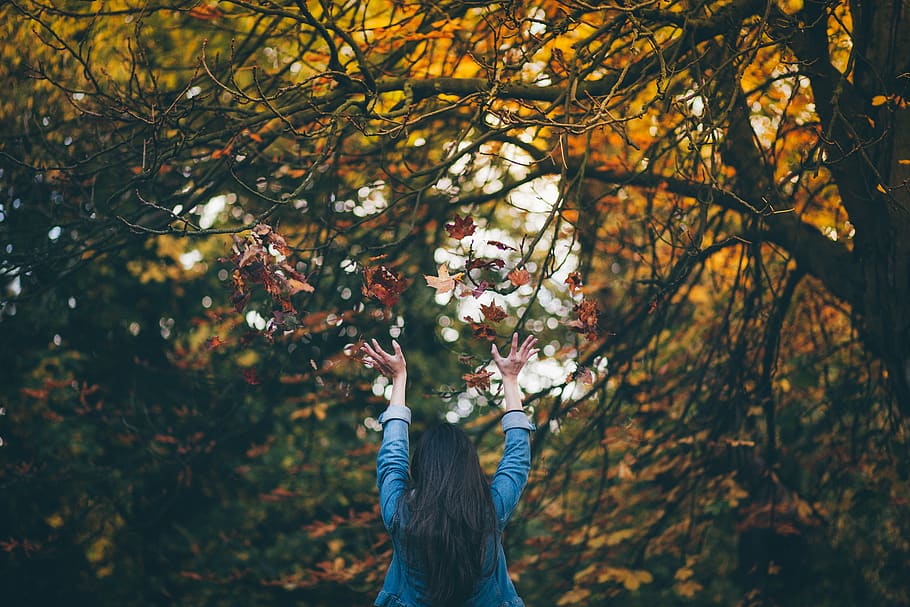 people, woman, girl, tree, plant, nature, autumn, fall, one person, real people