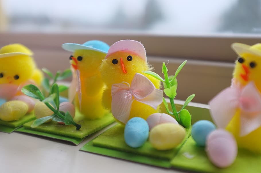 easter, chick, egg, spring, holiday, chicken, decoration, happy, celebration, cute