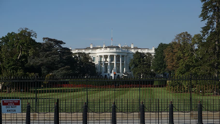 washington, whitehouse, president, usa, plant, building exterior, tree, built structure, sky, architecture
