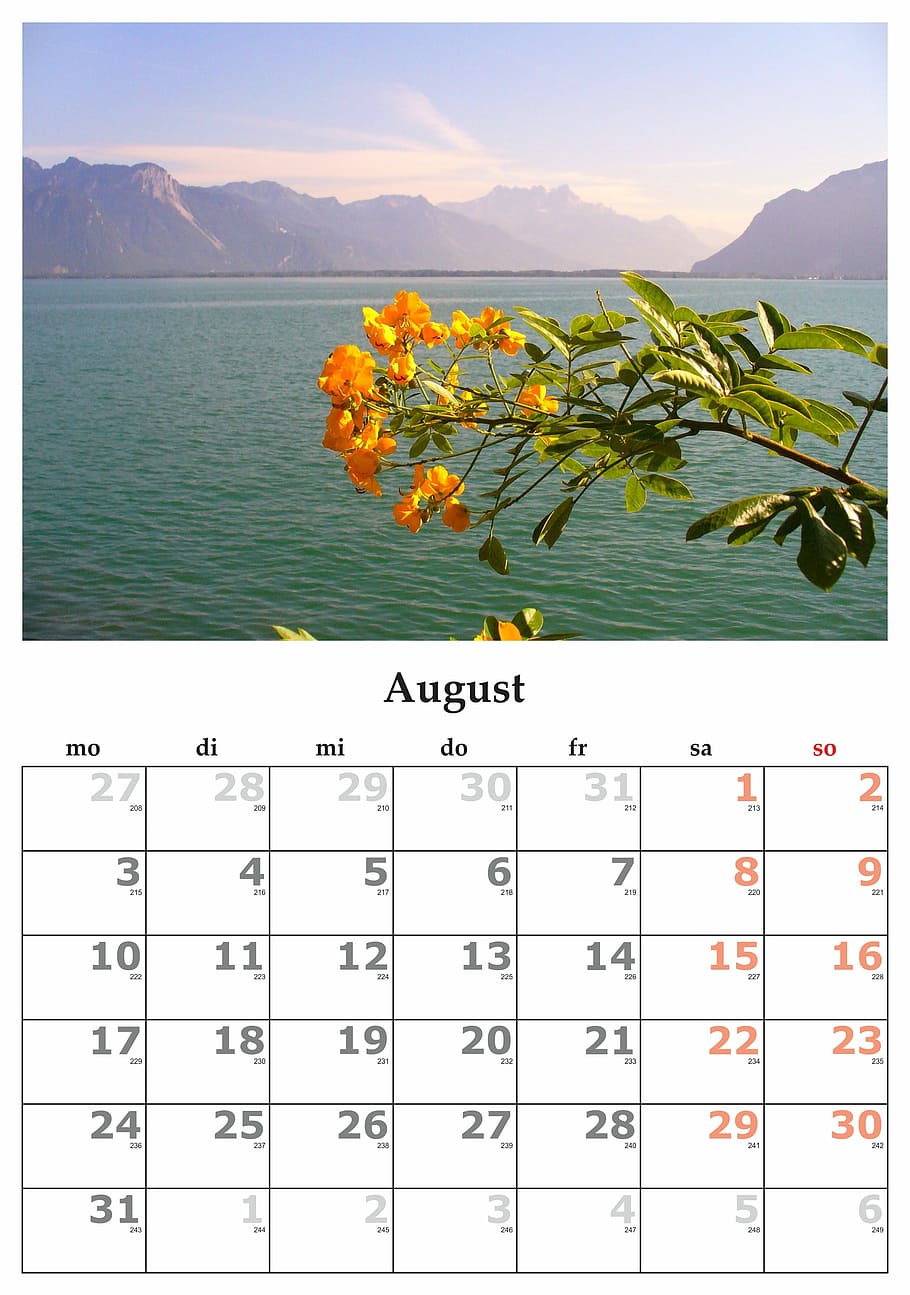 orange, petaled flowers, front ocean, Calendar, Month, calendar, month, august, august 2015, number, mountain