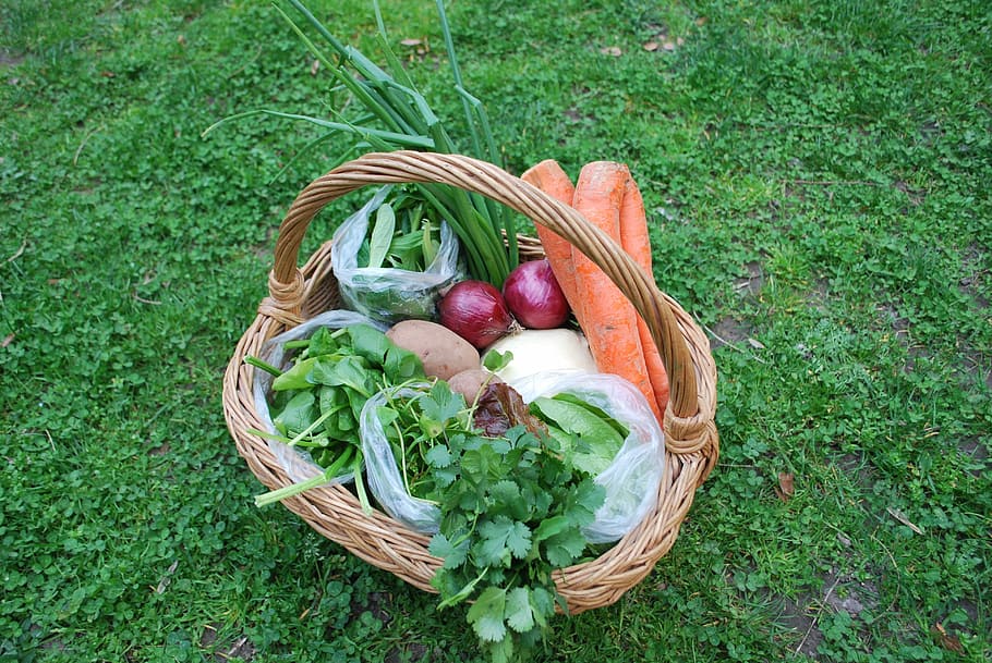 Cenoura, Comida, Vegetal, Saudável, verde, dieta, fresco, vegetariano, nutrição, orgânico