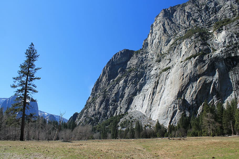 gray rock cliff, el capitan, yosemite, tree, park, california, national, landscape, nature, travel