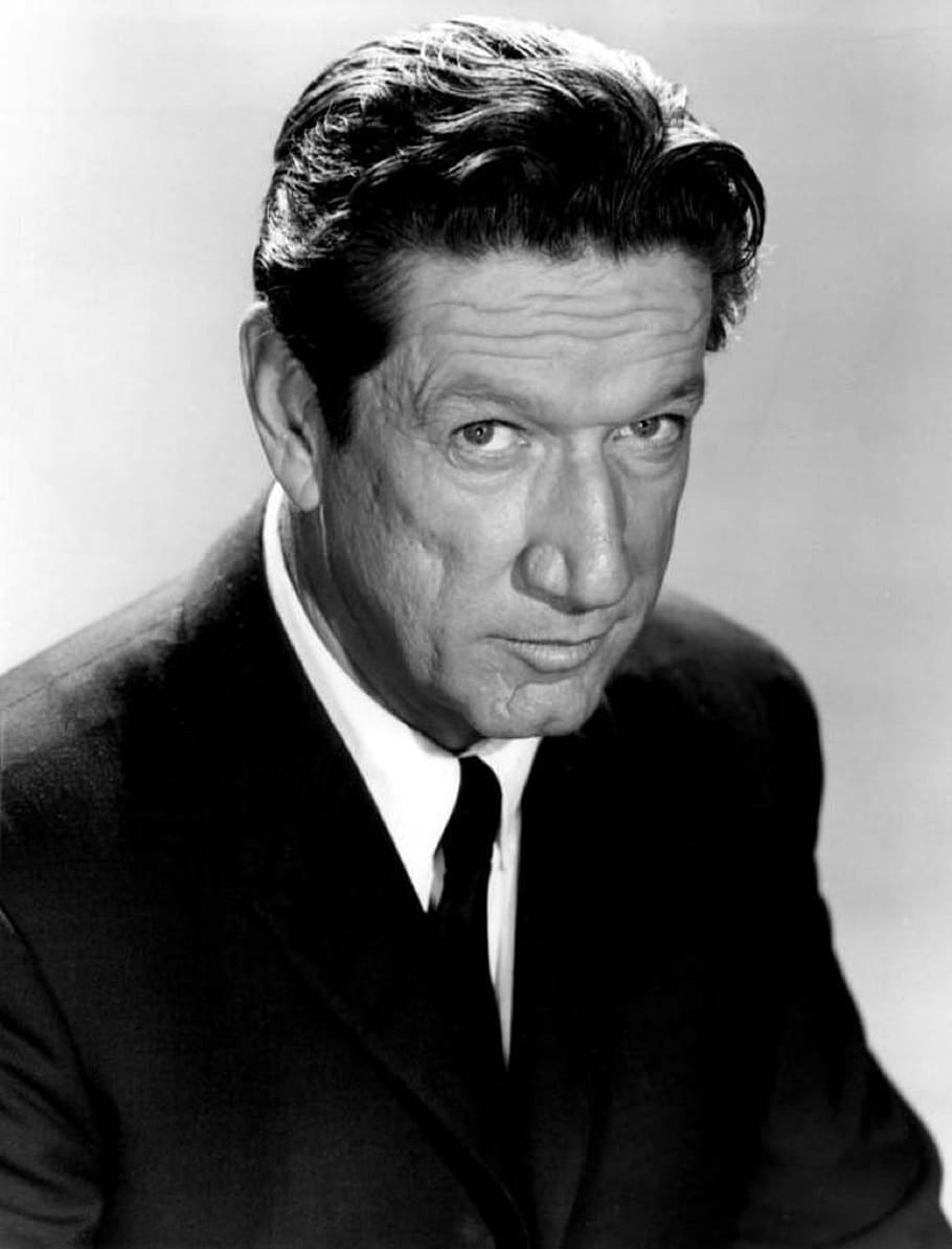 richard boone, actor, television, motion pictures, movies, films, tv, paladin, series, vintage