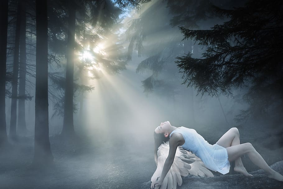 fantasy, forest, angel, flash, surreal, fog, trees, women, magic, young
