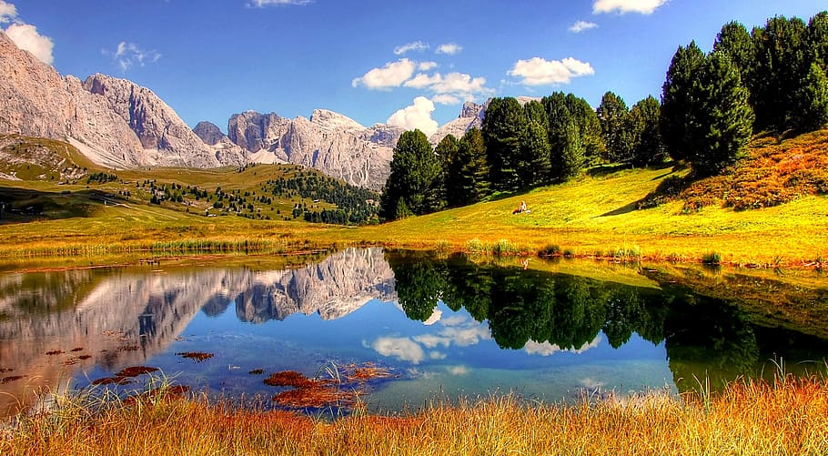 calm, body, water, surrounded, trees, mountains, dolomites, italy, south tyrol, alpine