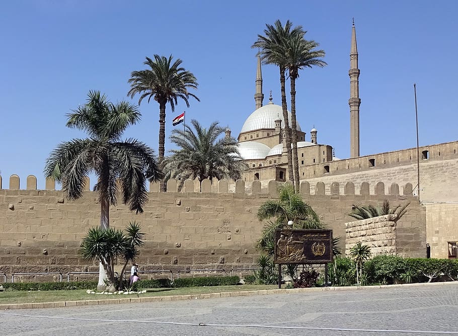 cairo, citadel, mosque, minaret, fortifications, palm, travel, architecture, tree, tropical climate