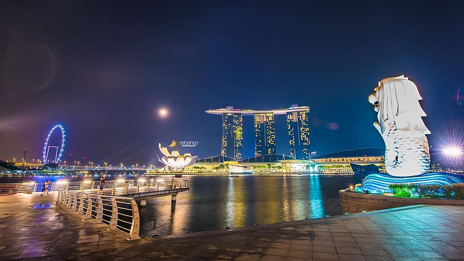 Singapura, Merlion, Baía da Marina, iluminado, arquitetura, noite, estrutura construída, exterior do edifício, água, cidade